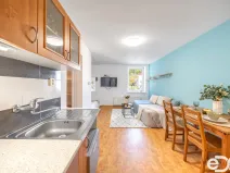 Pronájem bytu 1+kk, Kořenov, 29 m2