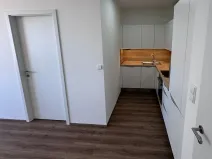 Pronájem bytu 1+kk, Praha - Dolní Měcholupy, Honzíkova, 41 m2