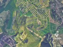 Prodej lesa, Bošovice, 3277 m2