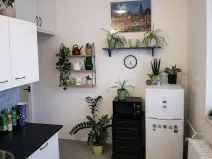 Pronájem bytu 1+1, Pardubice - Zelené Předměstí, Na Hrádku, 37 m2