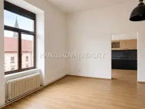 Pronájem bytu 1+1, České Budějovice - České Budějovice 6, Žižkova tř., 49 m2