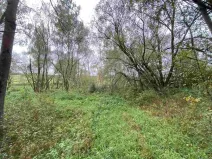 Prodej pozemku, Horní Dvořiště, 10042 m2