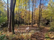 Prodej lesa, Prostřední Bečva, 25462 m2