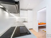 Prodej bytu 4+kk, Praha - Žižkov, Pod lipami, 74 m2
