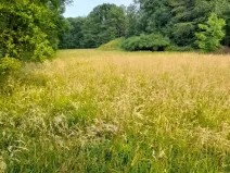 Pronájem pole, Kopřivnice, 510 m2