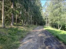 Prodej pozemku, Mirotice, 5629 m2