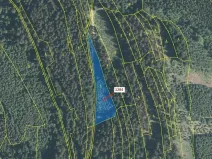 Dražba lesa, Lačnov, 3805 m2