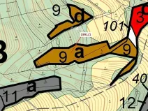 Dražba lesa, Hovězí, 2438 m2