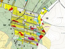 Dražba lesa, Nová Hradečná, 6275 m2
