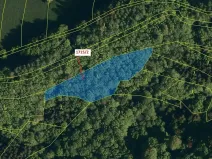 Dražba lesa, Valašská Polanka, 2632 m2
