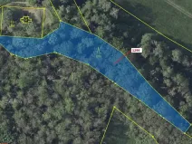 Dražba lesa, Stebno, 2275 m2