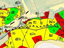 Dražba lesa, Čestín, 2055 m2