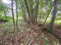 Dražba pozemku, Helvíkovice, 1994 m2