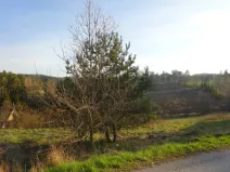 Prodej pozemku, Uhřínov, 3528 m2