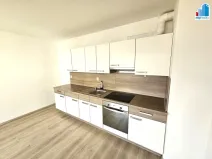 Pronájem bytu 1+kk, Plzeň - Jižní Předměstí, Rybářská, 39 m2