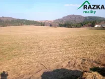 Prodej komerčního pozemku, Lestkov - Domaslav, 4866 m2