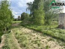 Prodej komerčního pozemku, Lestkov - Domaslav, 4866 m2