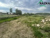 Prodej komerčního pozemku, Lestkov - Domaslav, 4866 m2