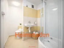 Pronájem bytu 1+1, Karviná - Hranice, Slovenská, 37 m2