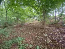 Prodej pozemku, Helvíkovice, 1994 m2