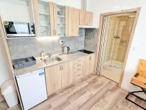 Pronájem bytu 1+kk, Světice, 28 m2
