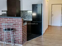 Pronájem bytu 1+kk, Děčín - Děčín III-Staré Město, Žerotínova, 28 m2
