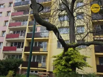 Pronájem bytu 1+1, Opava, 17. listopadu, 38 m2
