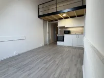 Prodej bytu 1+kk, Ostrava - Přívoz, Palackého, 26 m2