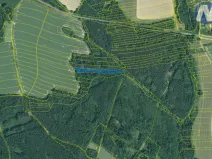 Prodej lesa, Borovany - Trocnov, 9174 m2