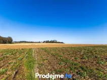 Prodej pozemku pro bydlení, Budišov, 561 m2