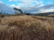 Prodej lesa, Pacov, 10995 m2