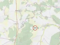 Prodej lesa, Štoky, 6941 m2