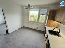 Pronájem bytu 1+1, Plzeň - Bolevec, Manětínská, 40 m2