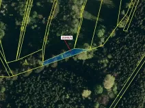 Dražba lesa, Hovězí, 312 m2