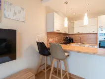 Pronájem bytu 1+kk, Praha - Žižkov, Olšanská, 37 m2