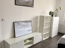 Pronájem bytu 1+1, Praha - Vokovice, Angolská, 40 m2