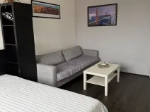 Pronájem bytu 1+1, Praha - Vokovice, Angolská, 40 m2