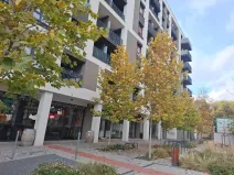 Pronájem obchodního prostoru, Praha - Žižkov, Olgy Havlové, 71 m2