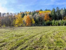 Prodej pozemku pro bydlení, Konstantinovy Lázně, 4381 m2