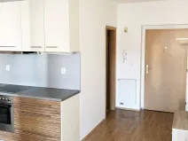 Pronájem bytu 1+kk, Praha - Žižkov, Prokopova, 46 m2