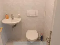 Pronájem bytu 1+kk, Rádlo, 45 m2