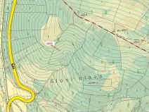 Dražba lesa, Vranová Lhota, 5978 m2