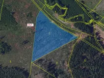 Dražba lesa, Žižkovo Pole, 8330 m2