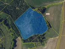 Dražba lesa, Žižkovo Pole, 12727 m2