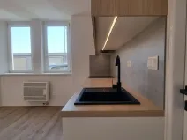 Pronájem bytu 2+kk, Opava, Březinova, 59 m2