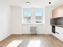Pronájem bytu 2+kk, Opava, Březinova, 59 m2