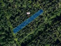 Dražba lesa, Pitín, 1282 m2