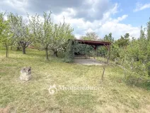 Prodej zahrady, Šatov, 875 m2