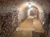 Prodej zahrady, Šatov, 875 m2