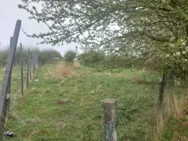 Prodej pozemku, Polom, 9766 m2